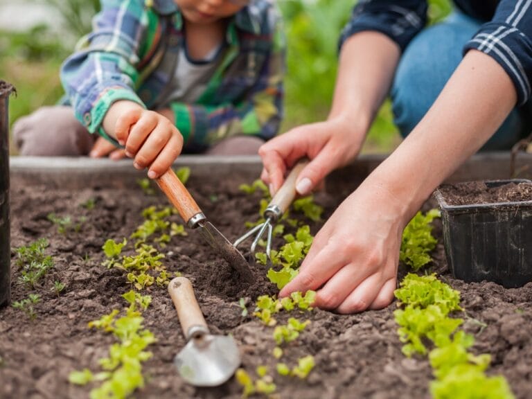 Close-up of a mother and child's hands as they hold gardening tools and shift dirt in a vegetable garden.