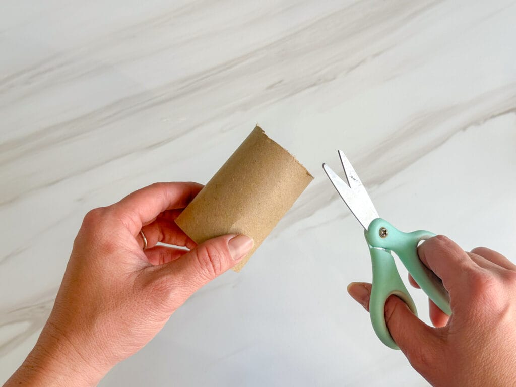 Toilet paper roll cut in half