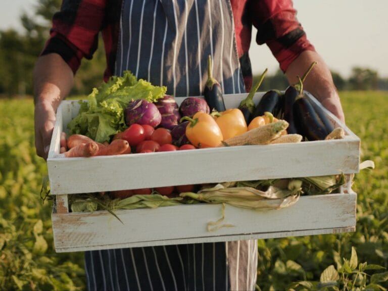 A person stands in a field holding a pallet full of fresh produce, including eggplant, bell peppers, tomatoes, and carrots.