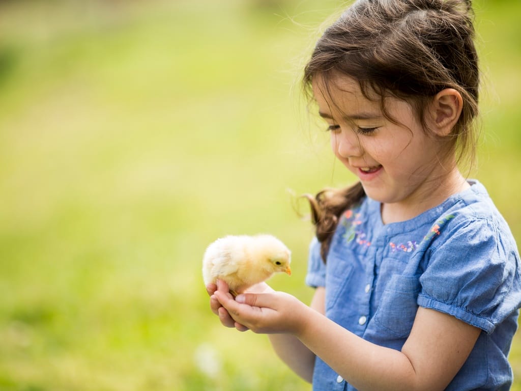 A little girl grins as she gently holds a yellow chick in her cupped palms. She stands outdoors, greenery blurred behind her.