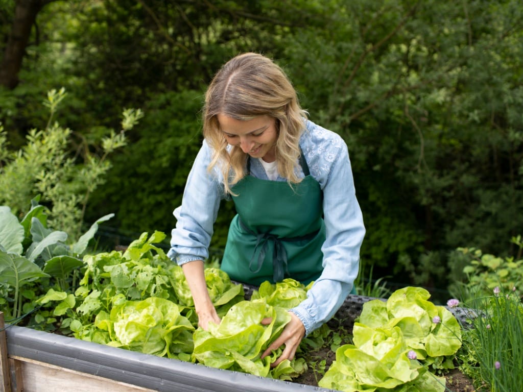 A woman reaching down to tend to a variety of vegetables that are growing in a garden bed outside her house.