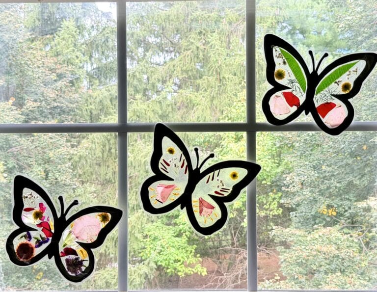 Pressed flower butterfly suncatchers in window