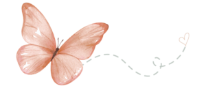 butterfly with heart