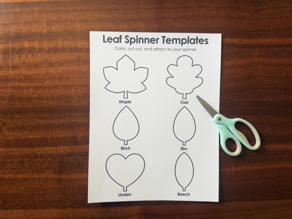 leaf template and scissors