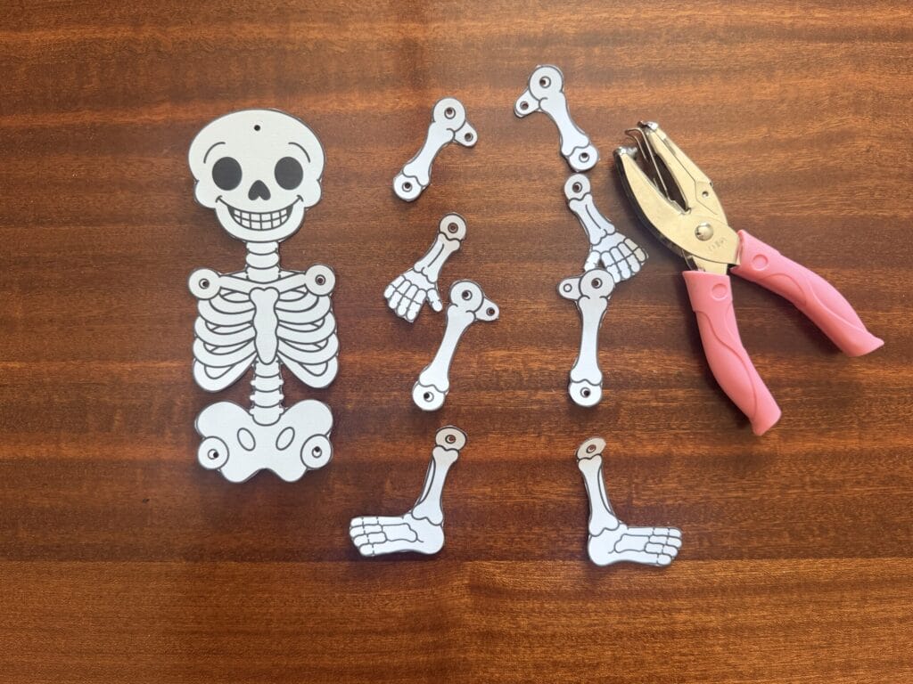 Paper skeleton cutouts with a hole punch, showing how to prepare the arms and legs for assembly.