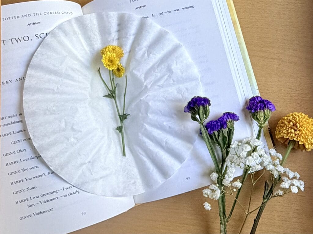 pressed flowers in a book